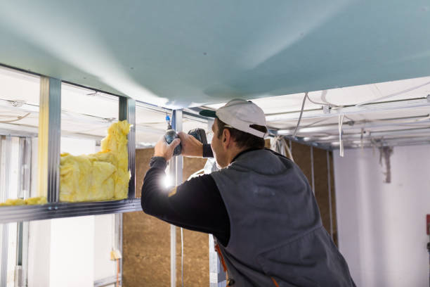Best Blown-in Insulation in Grafton, OH