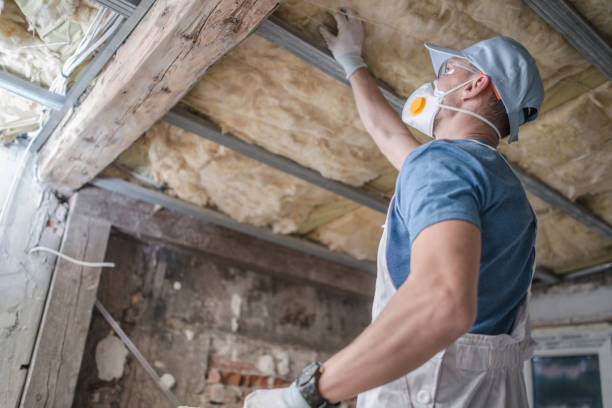 Best Eco-Friendly Insulation in Grafton, OH